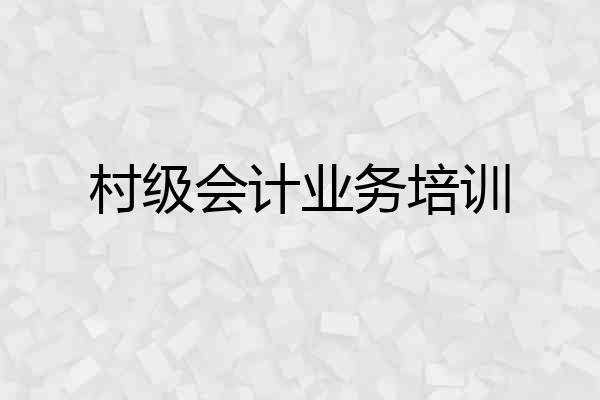 村级会计业务培训