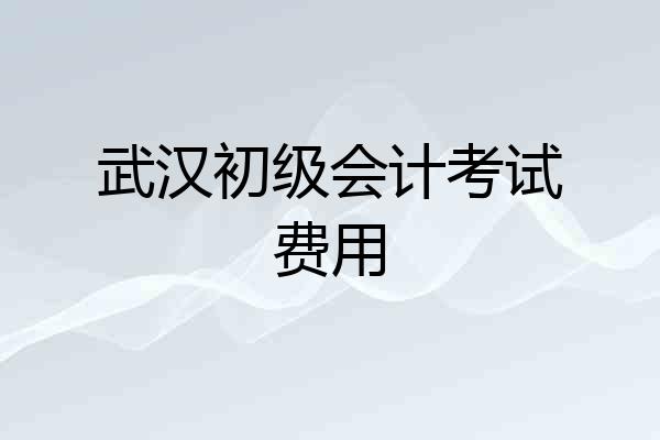 武汉初级会计考试费用