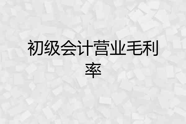 初级会计营业毛利率