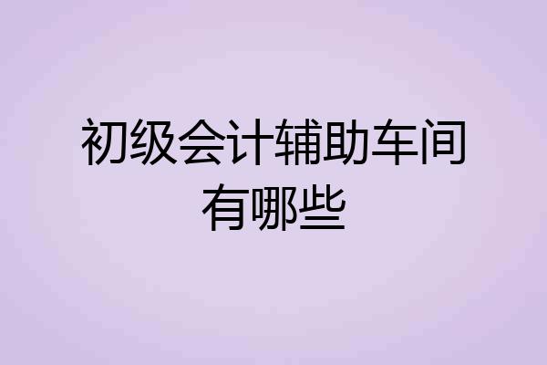 初级会计辅助车间有哪些