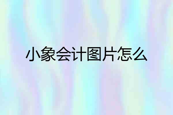 小象会计图片怎么