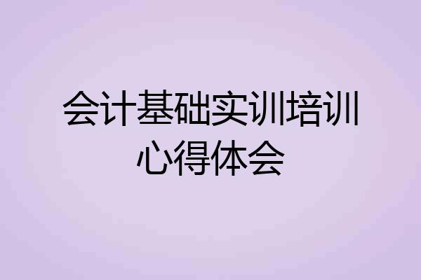 会计基础实训培训心得体会