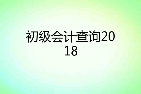 初级会计查询2018