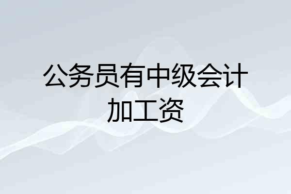 公务员有中级会计加工资