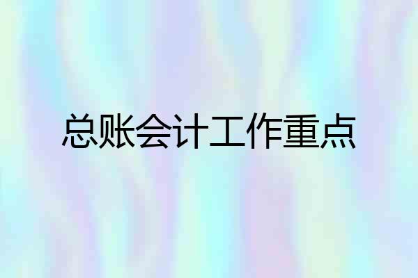总账会计工作重点