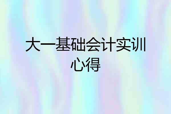 大一基础会计实训心得