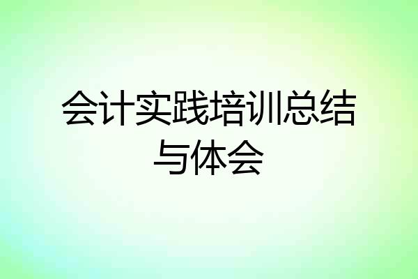 会计实践培训总结与体会