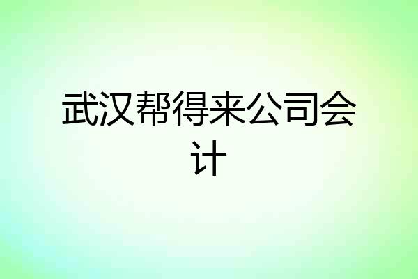 武汉帮得来公司会计