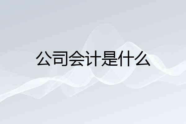 公司会计是什么