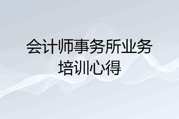 会计师事务所业务培训心得
