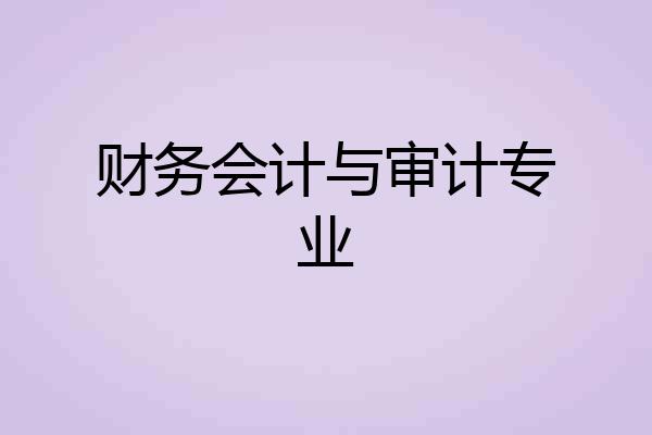 财务会计与审计专业