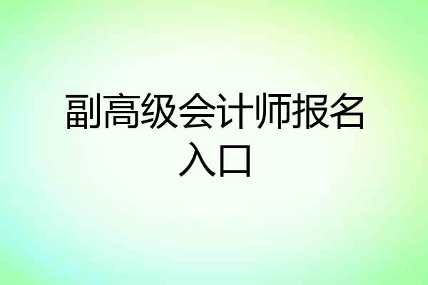 副高级会计师报名入口