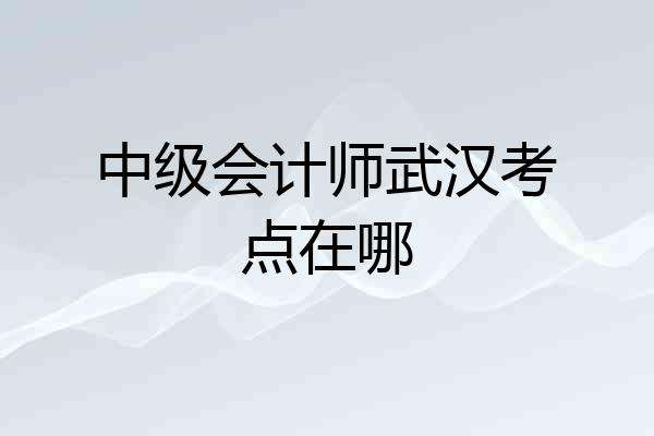 中级会计师武汉考点在哪