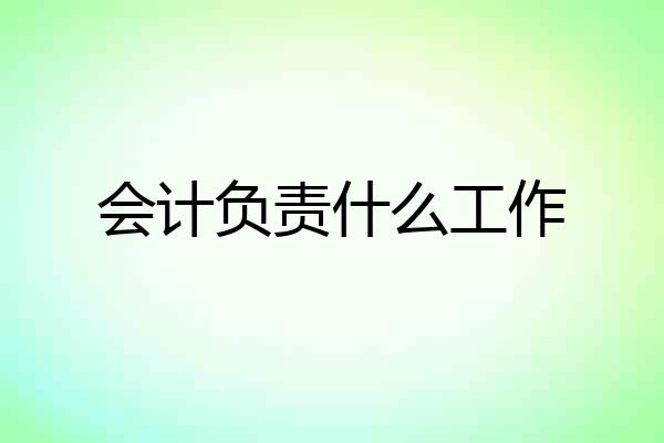 会计负责什么工作