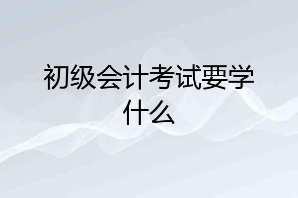 初级会计考试要学什么