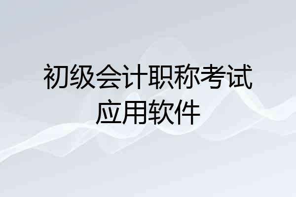 初级会计职称考试应用软件