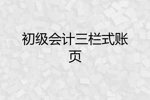 初级会计三栏式账页