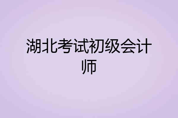 湖北考试初级会计师