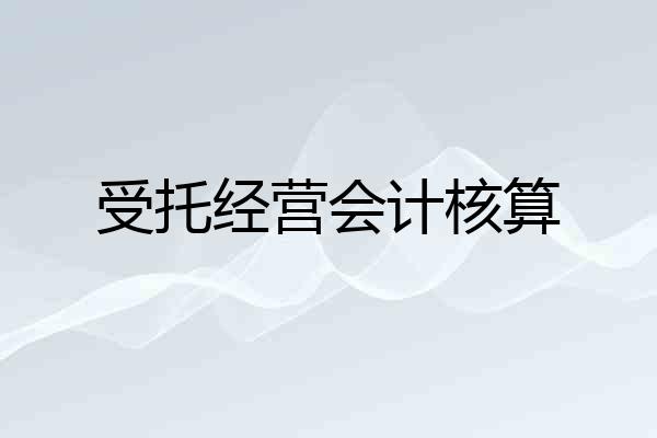 受托经营会计核算