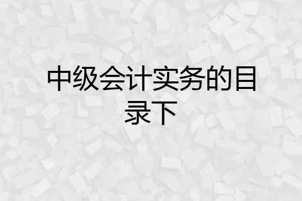 中级会计实务的目录下