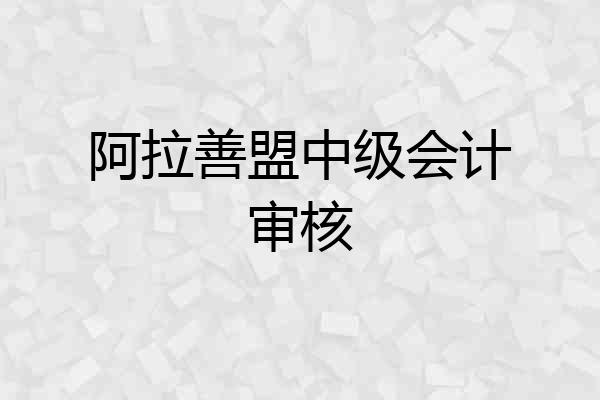 阿拉善盟中级会计审核