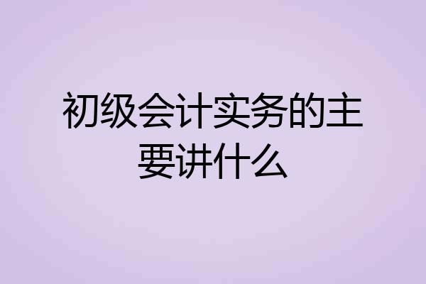 初级会计实务的主要讲什么