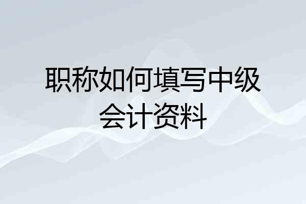 职称如何填写中级会计资料