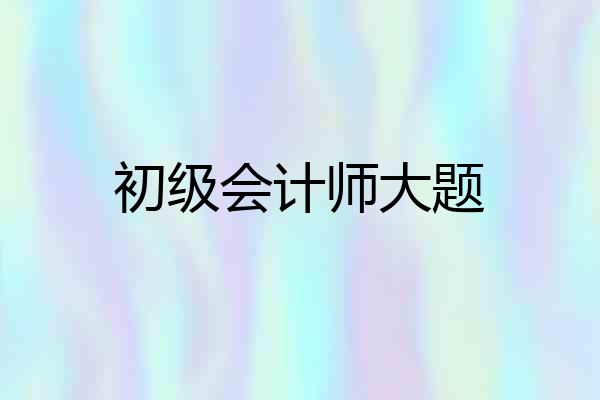 初级会计师大题