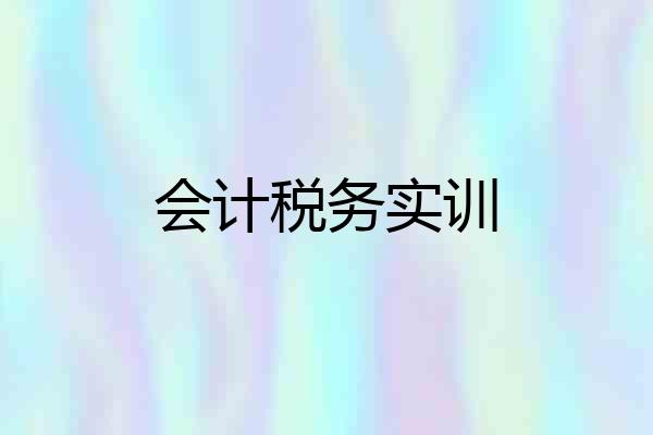 会计税务实训