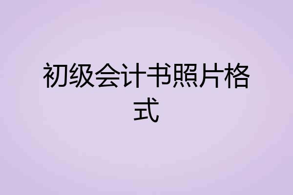 初级会计书照片格式