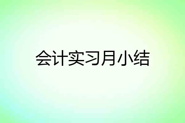 会计实习月小结