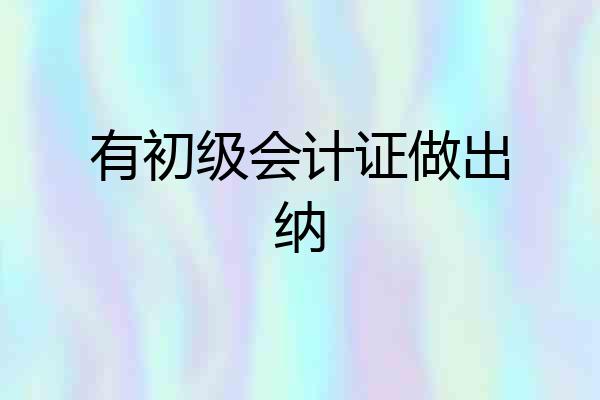 有初级会计证做出纳