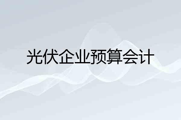 光伏企业预算会计