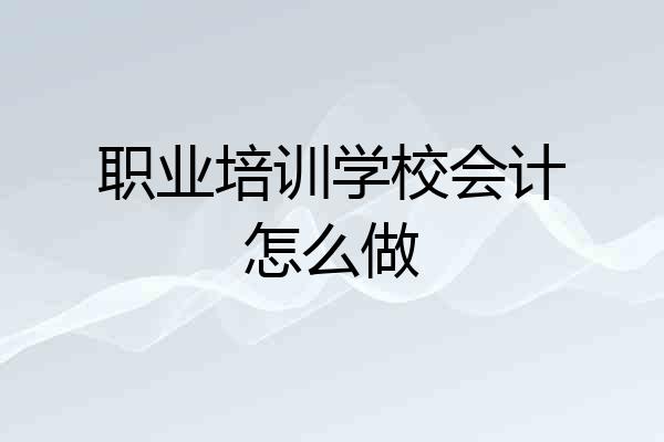 职业培训学校会计怎么做