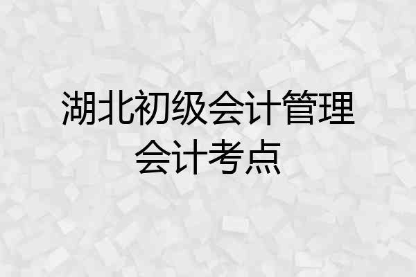 湖北初级会计管理会计考点