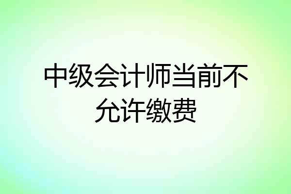 中级会计师当前不允许缴费