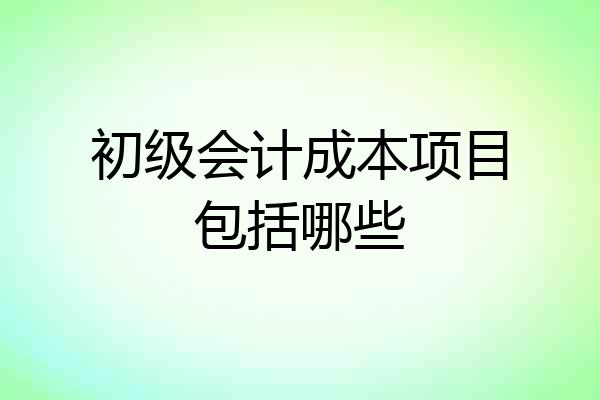 初级会计成本项目包括哪些