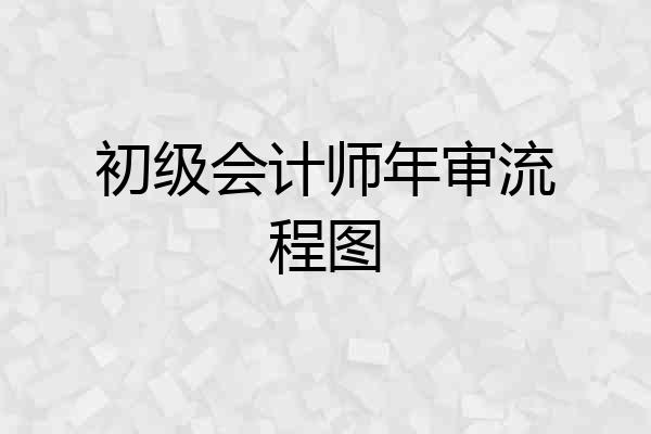 初级会计师年审流程图