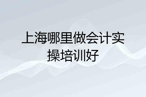 上海哪里做会计实操培训好