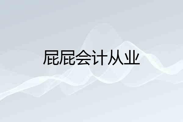屁屁会计从业