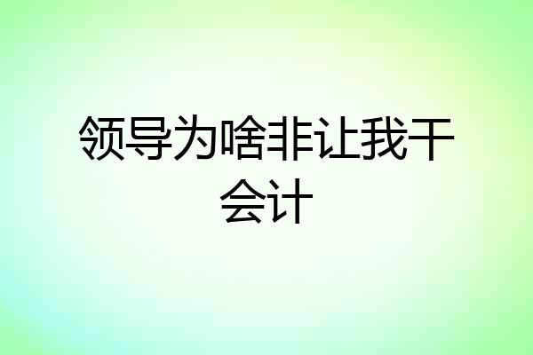 领导为啥非让我干会计