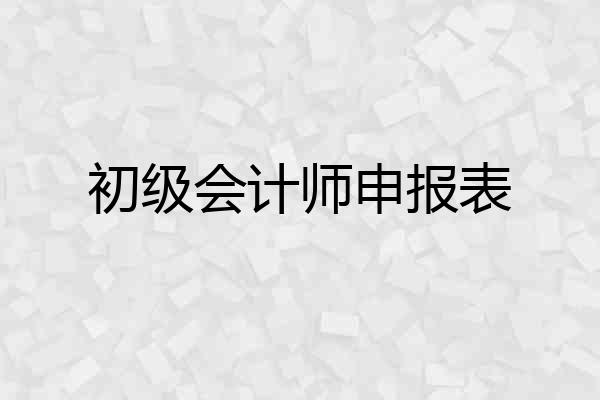 初级会计师申报表