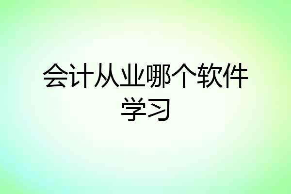 会计从业哪个软件学习