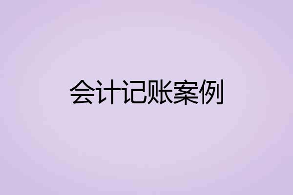 会计记账案例