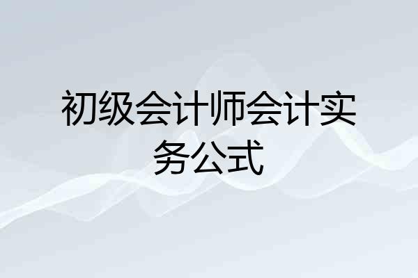 初级会计师会计实务公式