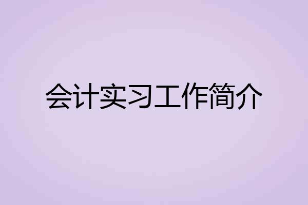 会计实习工作简介