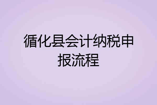 循化县会计纳税申报流程