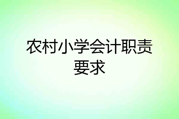 农村小学会计职责要求