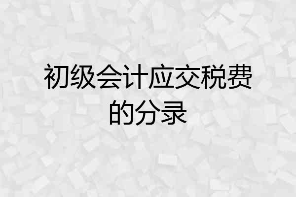 初级会计应交税费的分录
