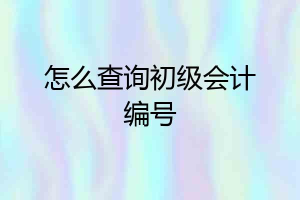 怎么查询初级会计编号